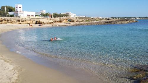 elite luxury residence