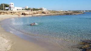 elite luxury residence