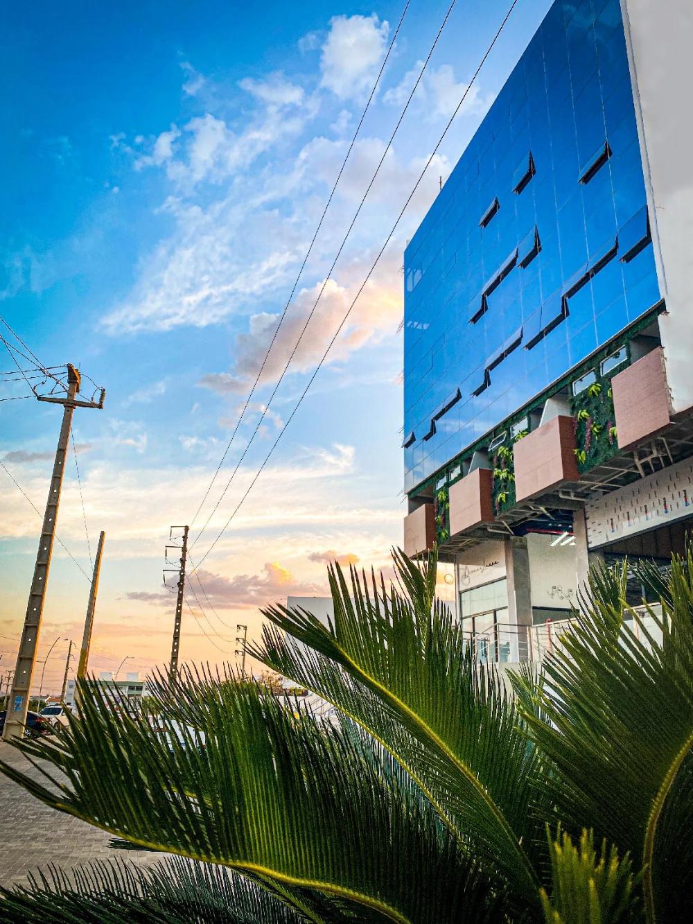 petrolina