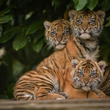 the storyhouse gathering 5 bed sleeps 13 city centre within walls