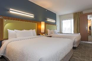 springhill suites by marriott columbia downtown the vista