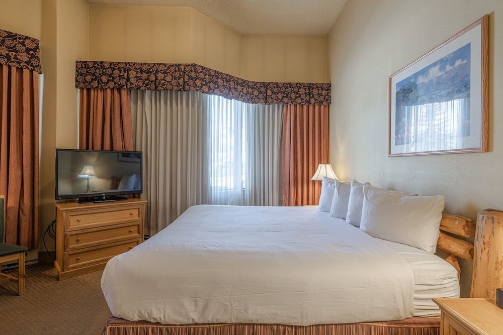 cozy pet friendly king studio in mt crested butte condo no cleaning fee by redawning