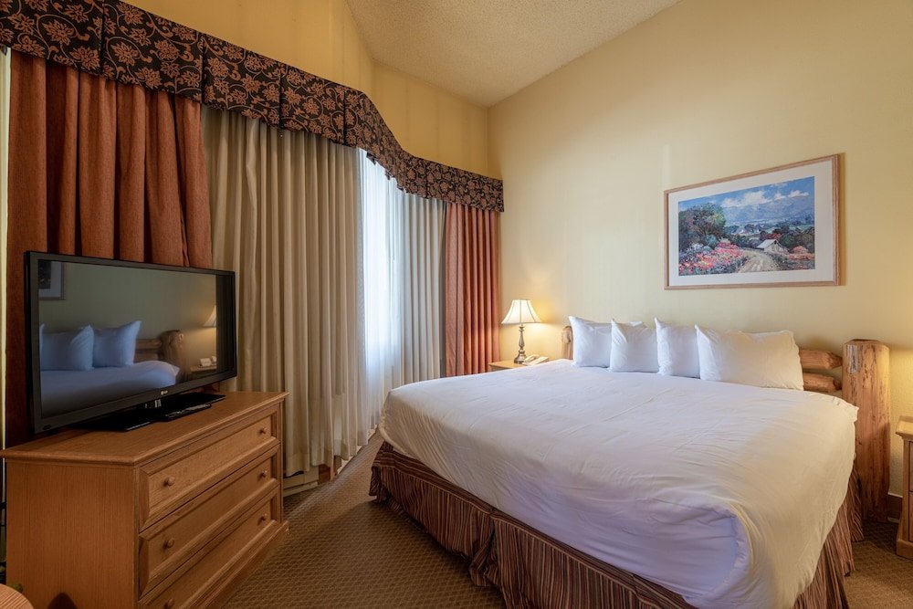 cozy pet friendly king studio in mt crested butte condo no cleaning fee by redawning
