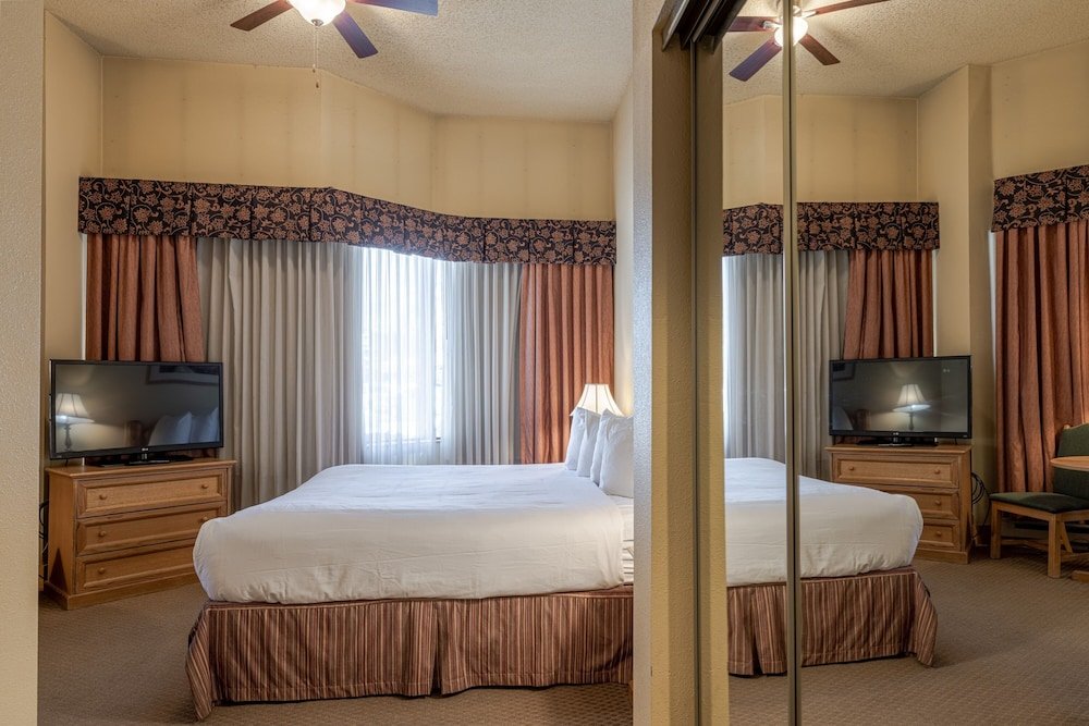 cozy pet friendly king studio in mt crested butte condo no cleaning fee by redawning