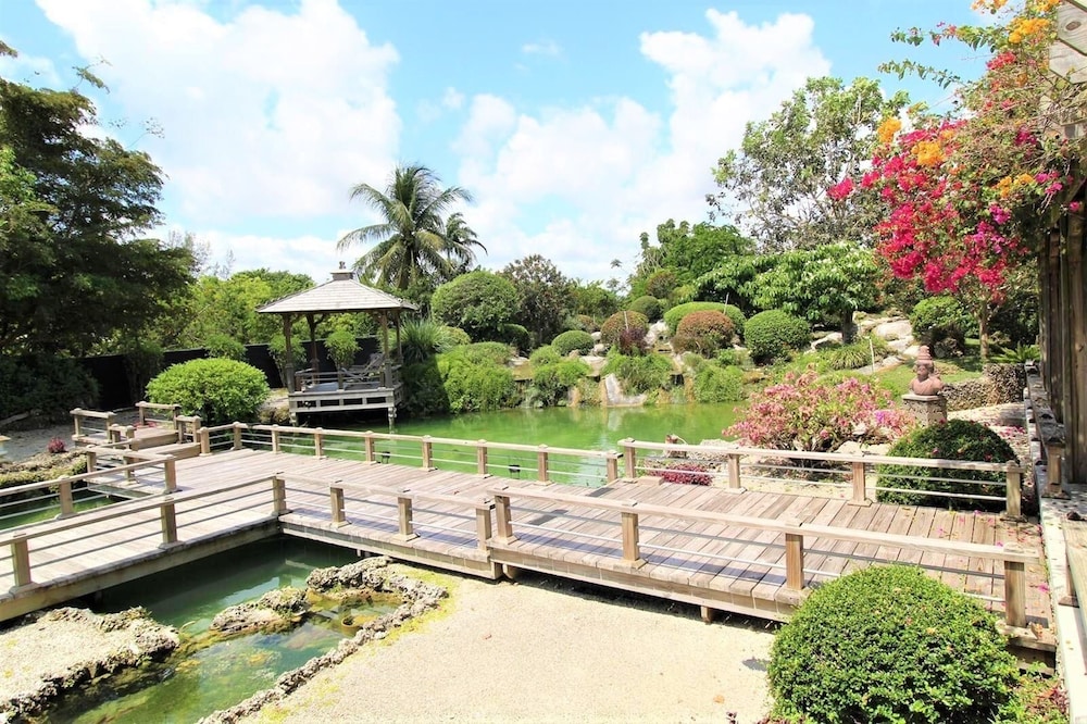 luxurious tiny house and koi garden