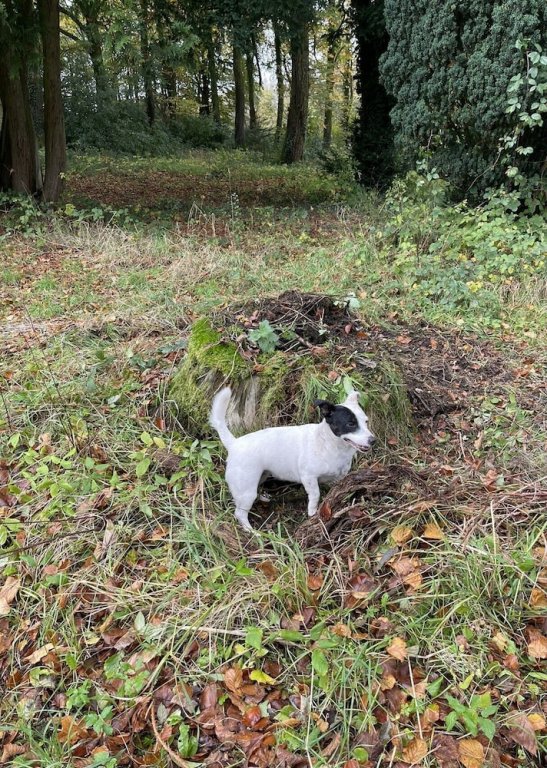 Luxury 1-Bed Self Catering Apartment Cockermouth,,0 star