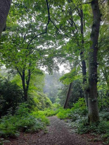 station view lodge markinch