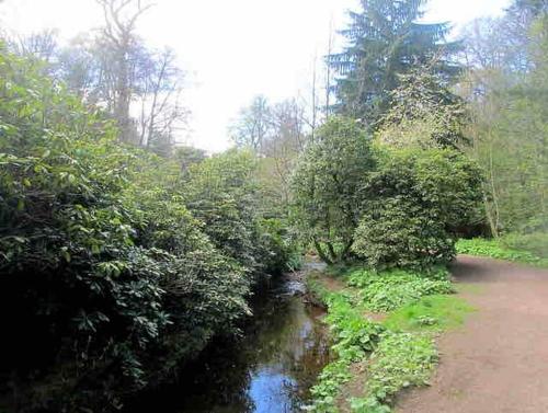 station view lodge markinch