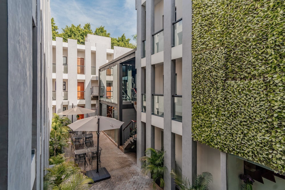 youssef exceptionnel