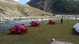 balakot