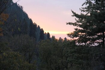 balakot