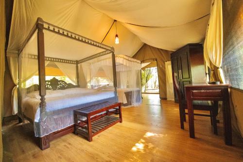 maasai mara