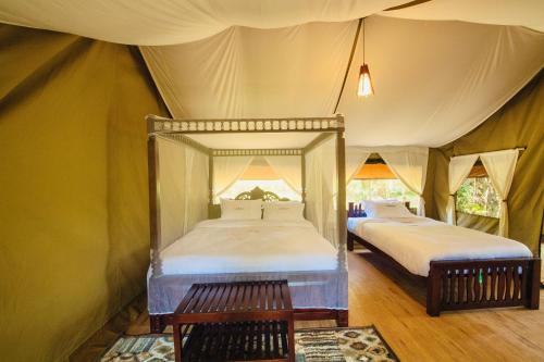 maasai mara