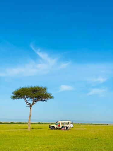 maasai mara