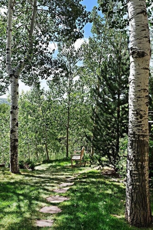 aspen