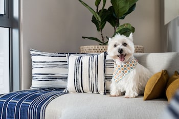 home suite hotels sea point