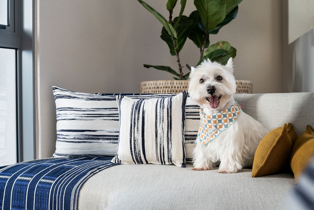 home suite hotels sea point