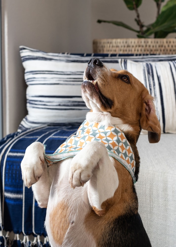 home suite hotels sea point