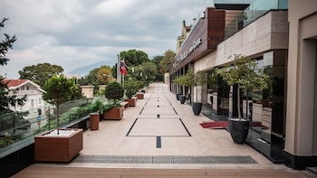 bursa