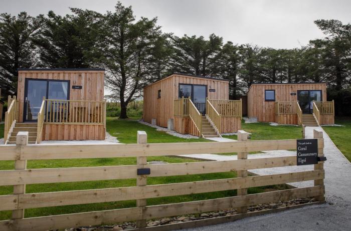 house of juniper the cabins