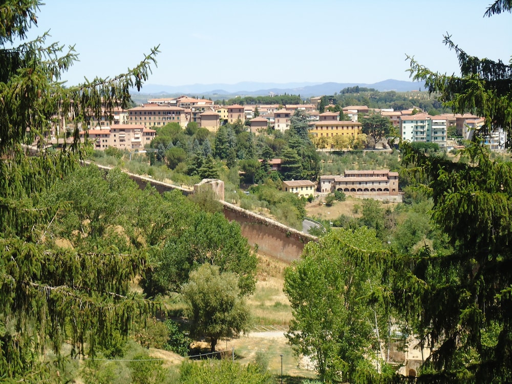 siena