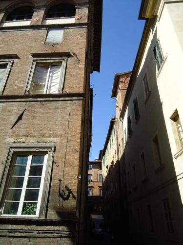 siena