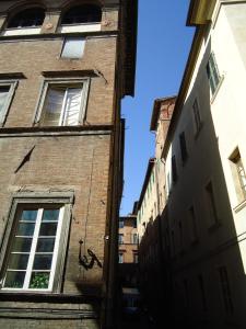 siena