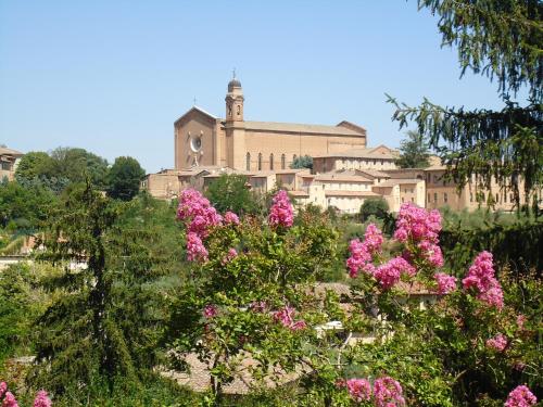 siena