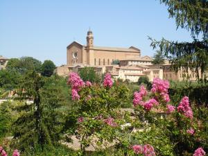 siena