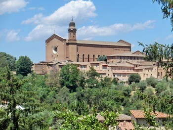 siena