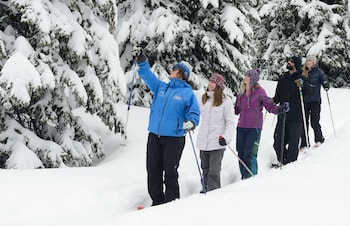 sioux lodge suites by grand targhee resort