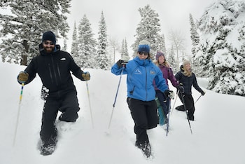 sioux lodge suites by grand targhee resort