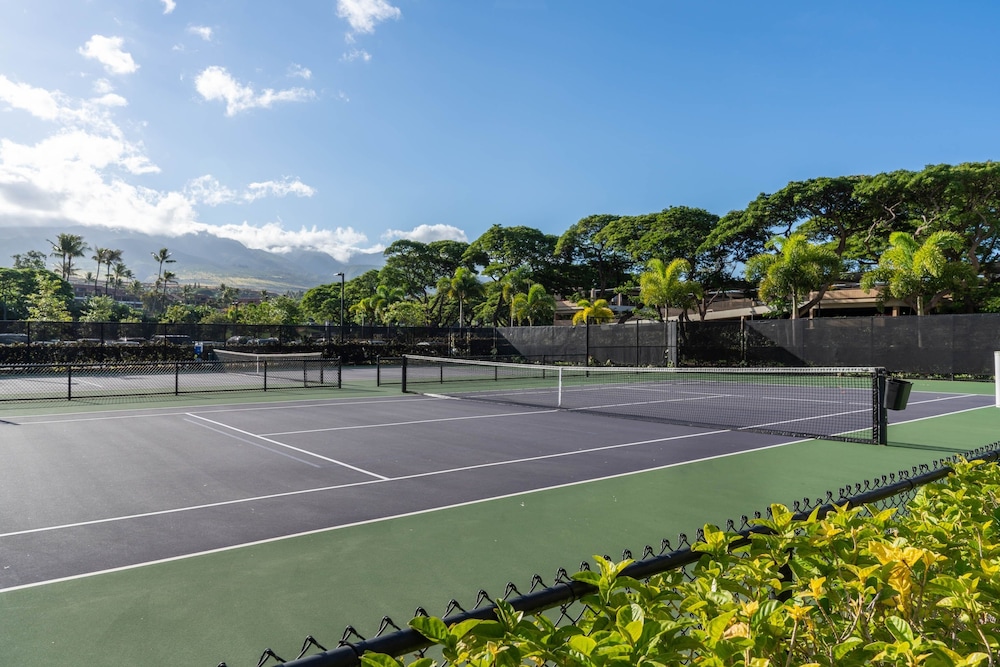 whaler 518 oceanview studio condo condo by redawning