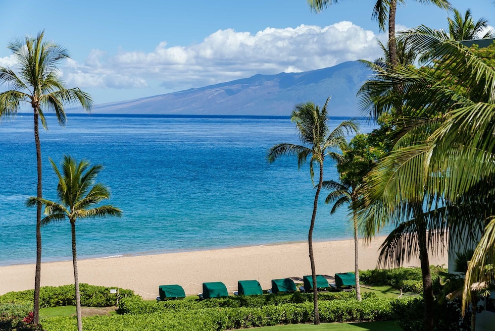 whaler 518 oceanview studio condo condo by redawning