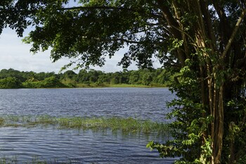 hotel mercure kourou ariatel