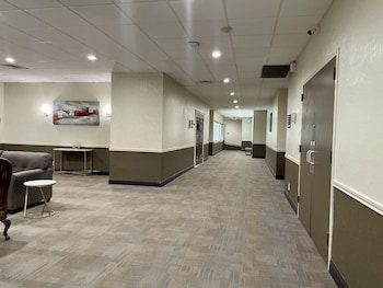 surestay plus by best western lawton