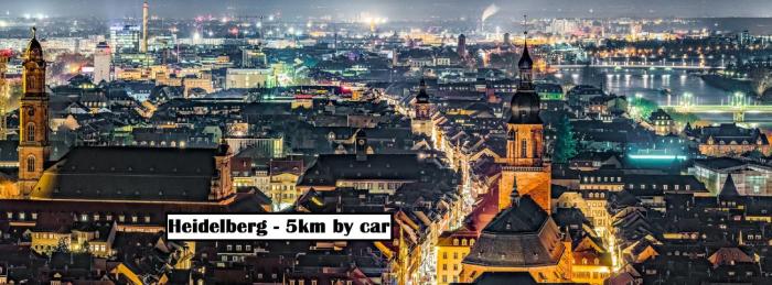 exo square heidelberg schwetzingen