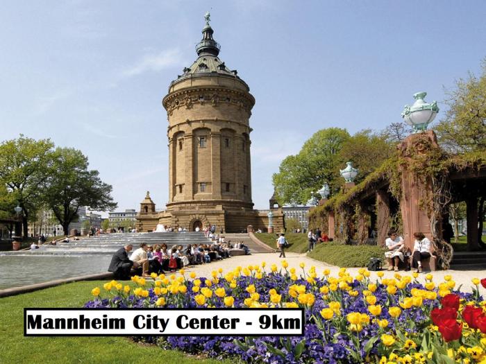 exo square heidelberg schwetzingen