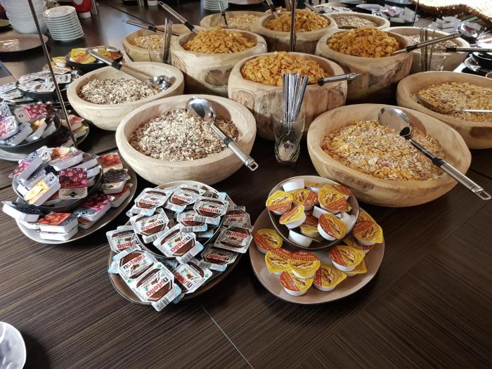 exo square heidelberg schwetzingen