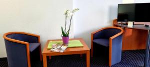 exo square heidelberg schwetzingen