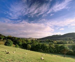 Three Ways House Hotel,Banbury>>Astwood Bank,3 star