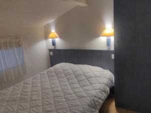 olydea les sables vignie