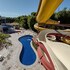 golden dolphin express oficial
