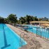 golden dolphin express oficial