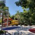 golden dolphin express oficial