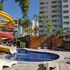 golden dolphin express oficial