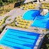 golden dolphin express oficial