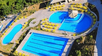 golden dolphin express oficial