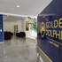 golden dolphin express oficial