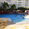 golden dolphin express oficial
